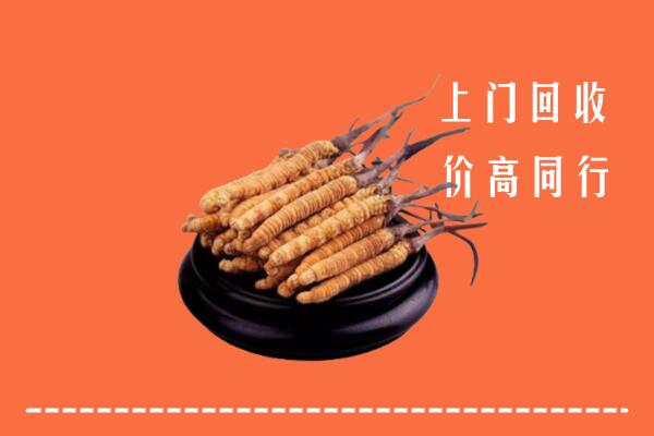 高价求购：东方市回收散虫草