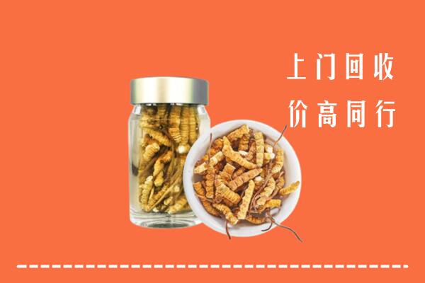 东方市回收冬虫夏草