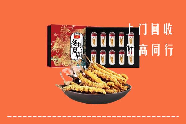 东方市回收虫草
